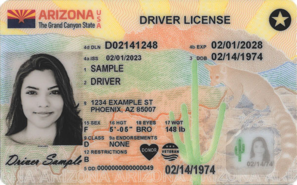 Sample Arizona Driver License