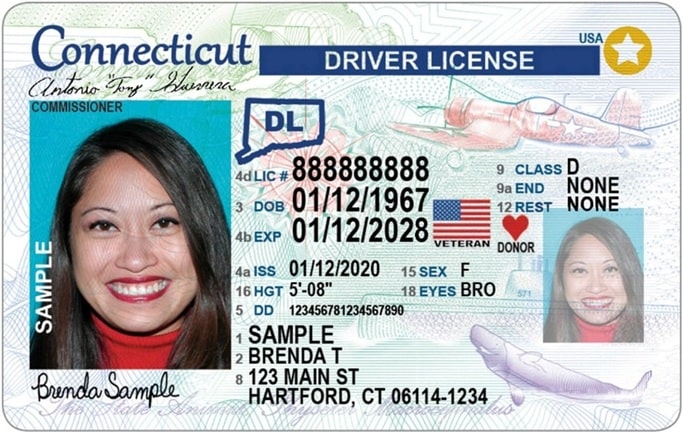 Sample Connecticut Driver License