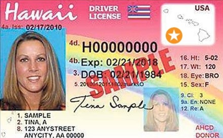 Sample Hawaii Driver License