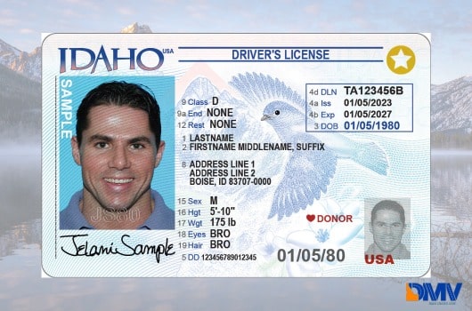Sample Idaho Driver License