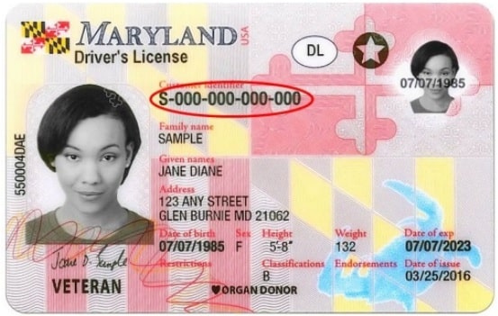 Sample Maryland Driver License