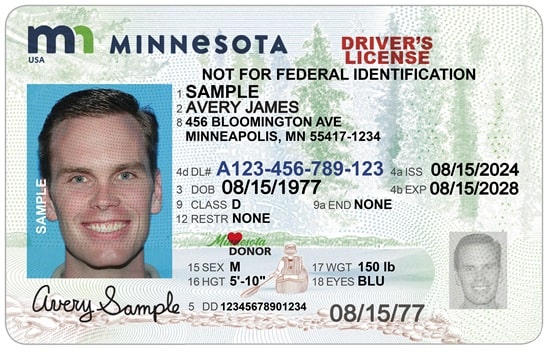 Sample Minnesota Driver License