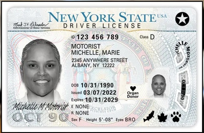 Sample New York Driver License
