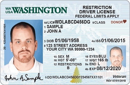 Sample Washington Driver License